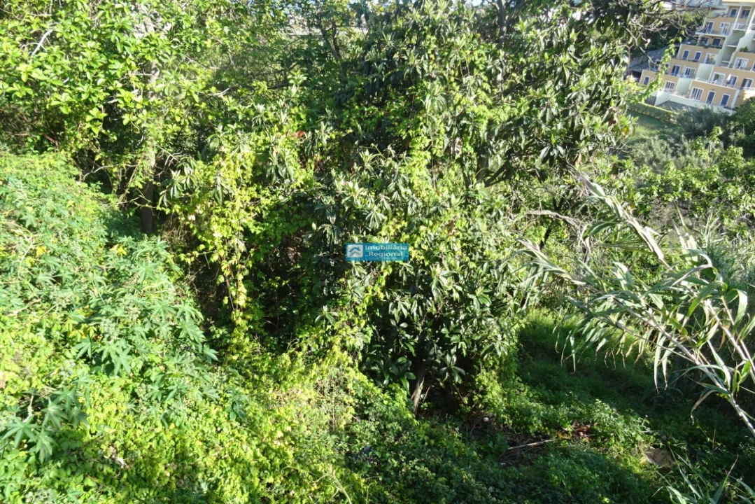 Terreno para Venda em Santo Antonio Foto 4