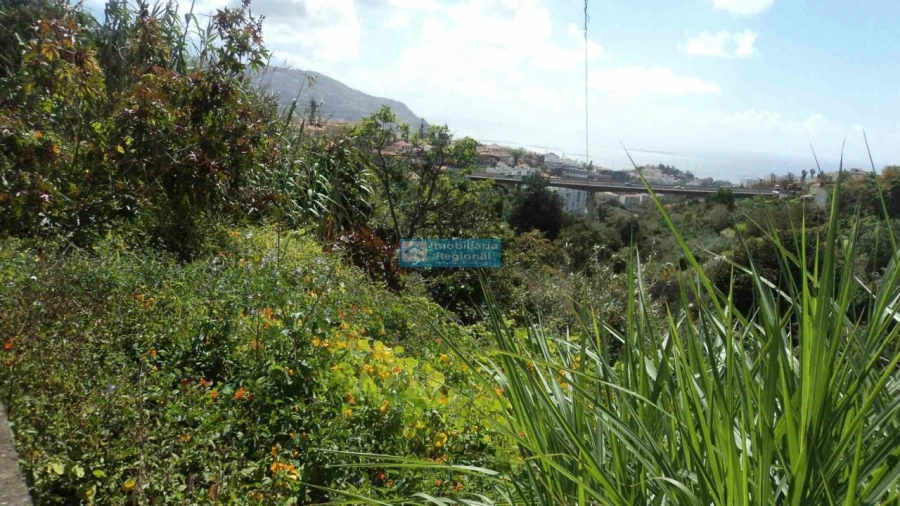 Terreno para Venda em Santo Antonio Foto 6