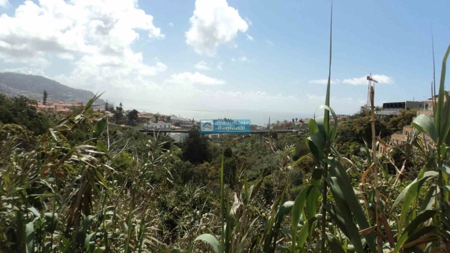 Terreno para Venda em Santo Antonio Foto 11