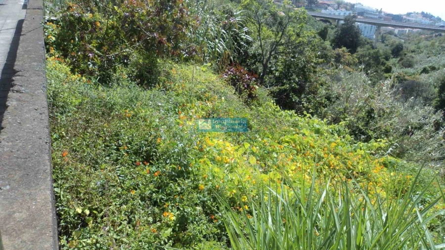 Terreno para Venda em Santo Antonio Foto 12