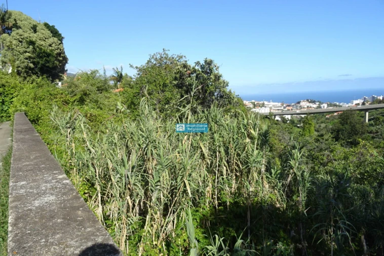 Terreno para Venda em Santo Antonio Foto 3