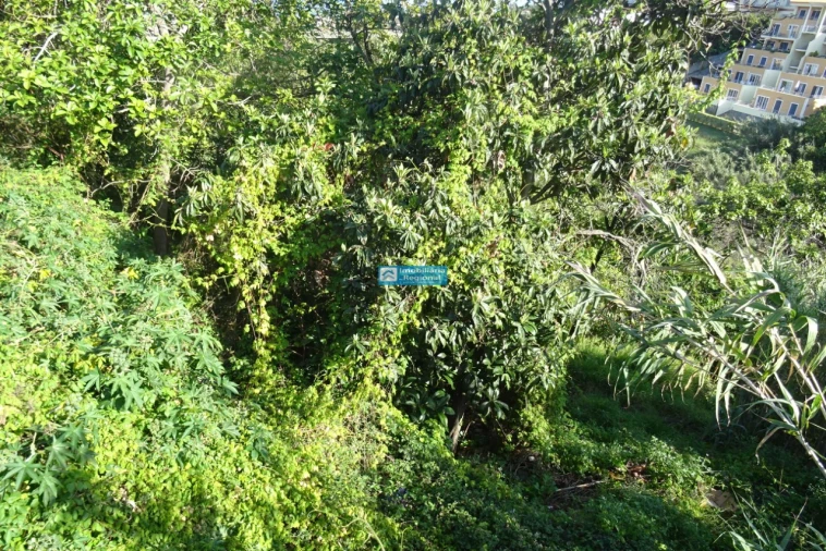 Terreno para Venda em Santo Antonio Foto 4
