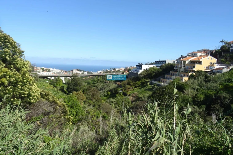 Terreno para Venda em Santo Antonio Foto 1