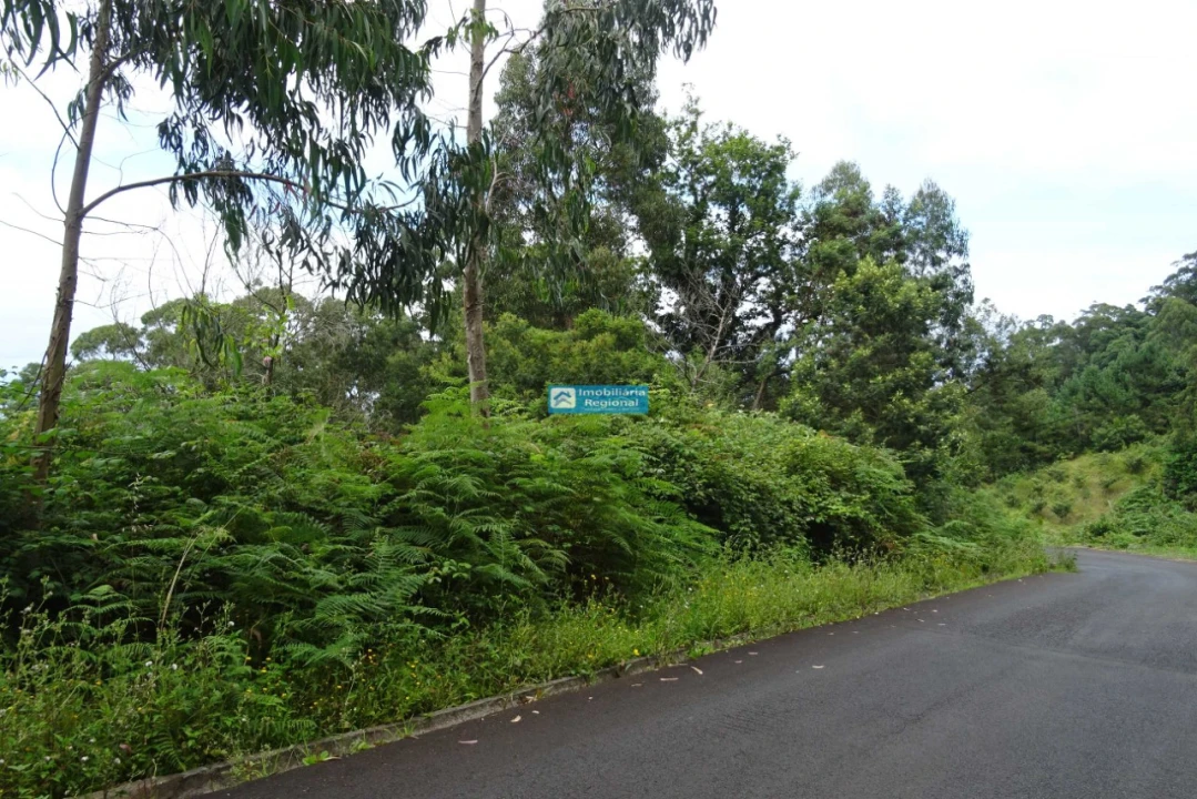Terreno para Venda em São Jorge Foto 3