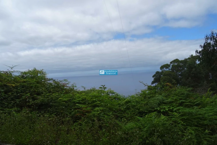 Terreno para Venda em São Jorge Foto 4