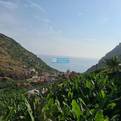 Terreno para Venda em Tabua Foto 8