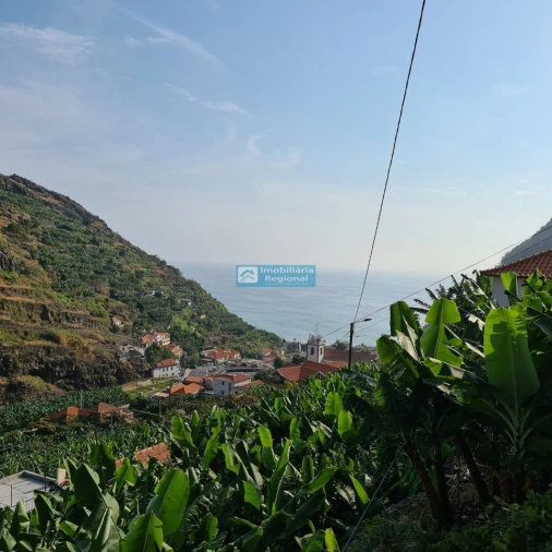 Terreno para Venda em Tabua Foto 9