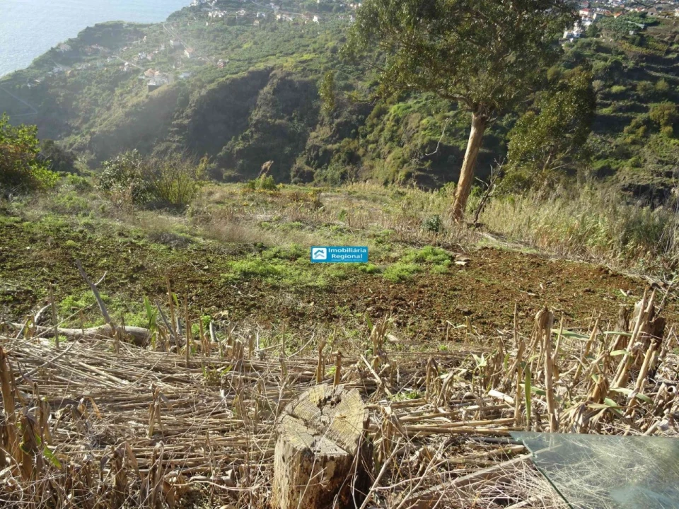 Terreno para Venda em Arco da Calheta Foto 9