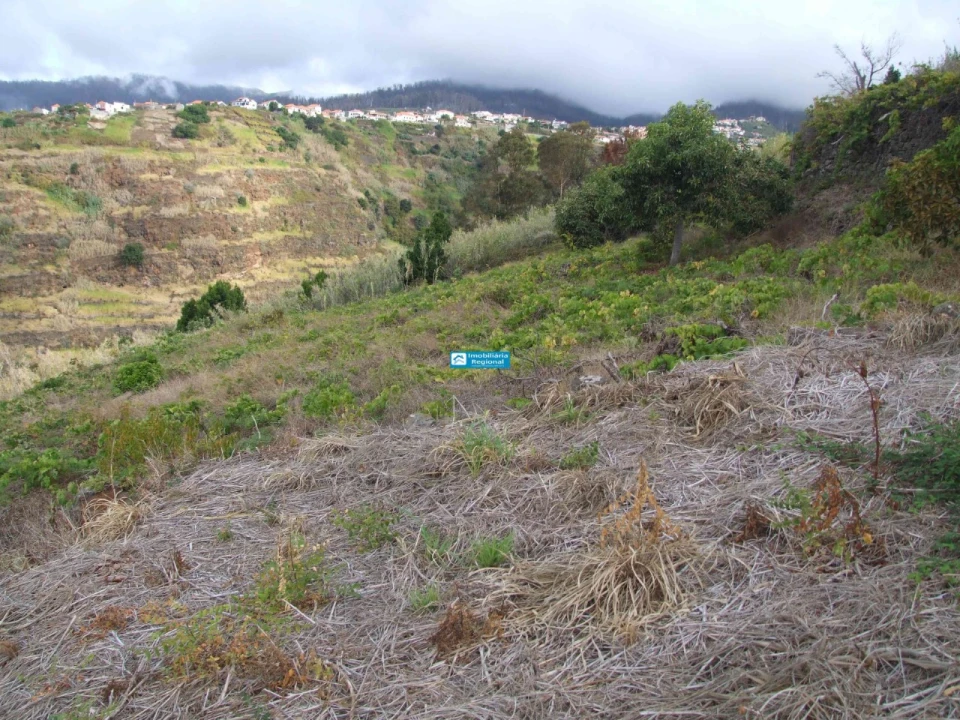 Terreno para Venda em Arco da Calheta Foto 8