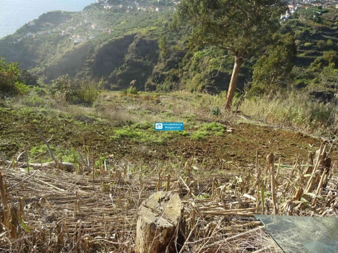 Terreno para Venda em Arco da Calheta Foto 9