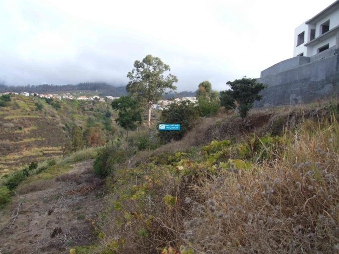 Terreno para Venda em Arco da Calheta Foto 7