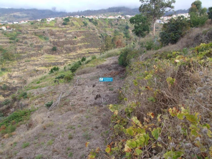 Terreno para Venda em Arco da Calheta Foto 12