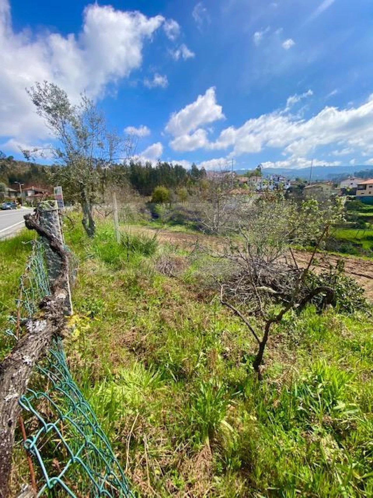 Terreno para Venda em Cedrim e Paradela Foto 10