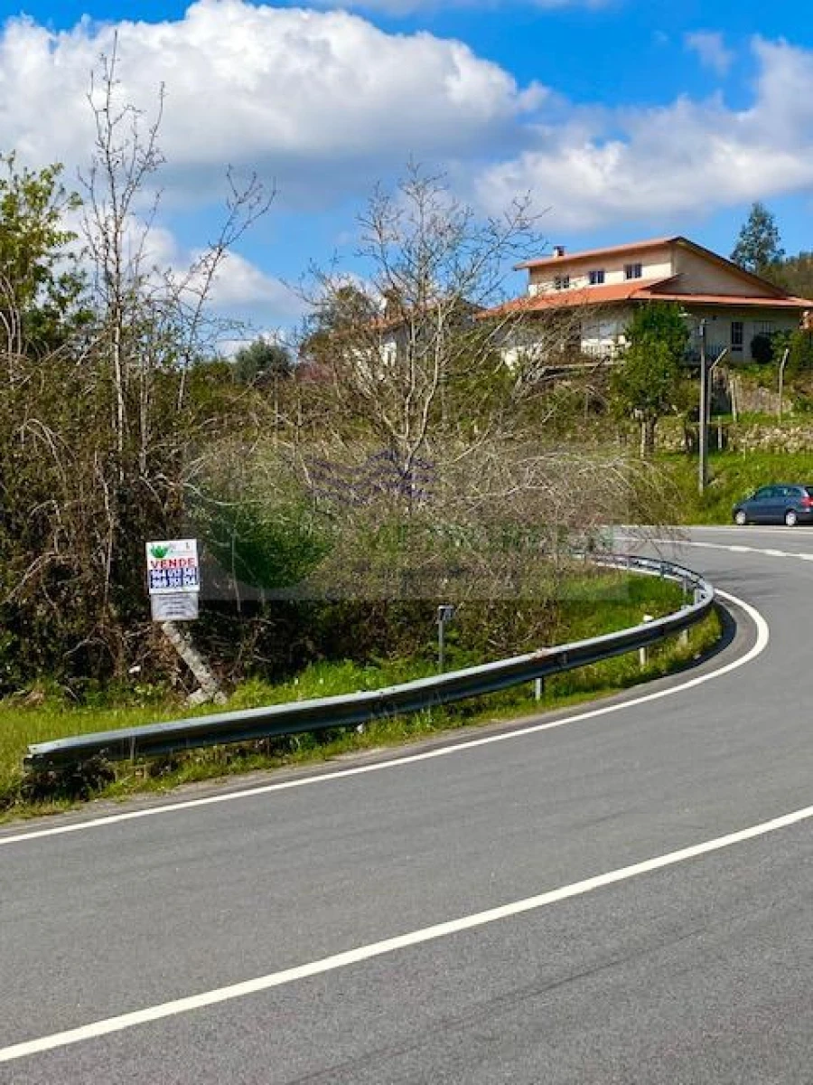 Terreno para Venda em Cedrim e Paradela Foto 3