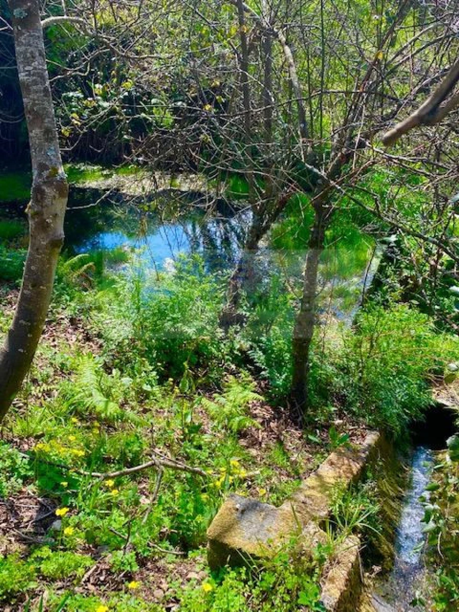 Terreno para Venda em Cedrim e Paradela Foto 4
