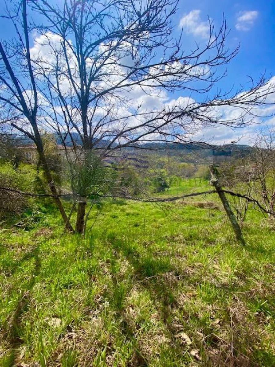 Terreno para Venda em Cedrim e Paradela Foto 9