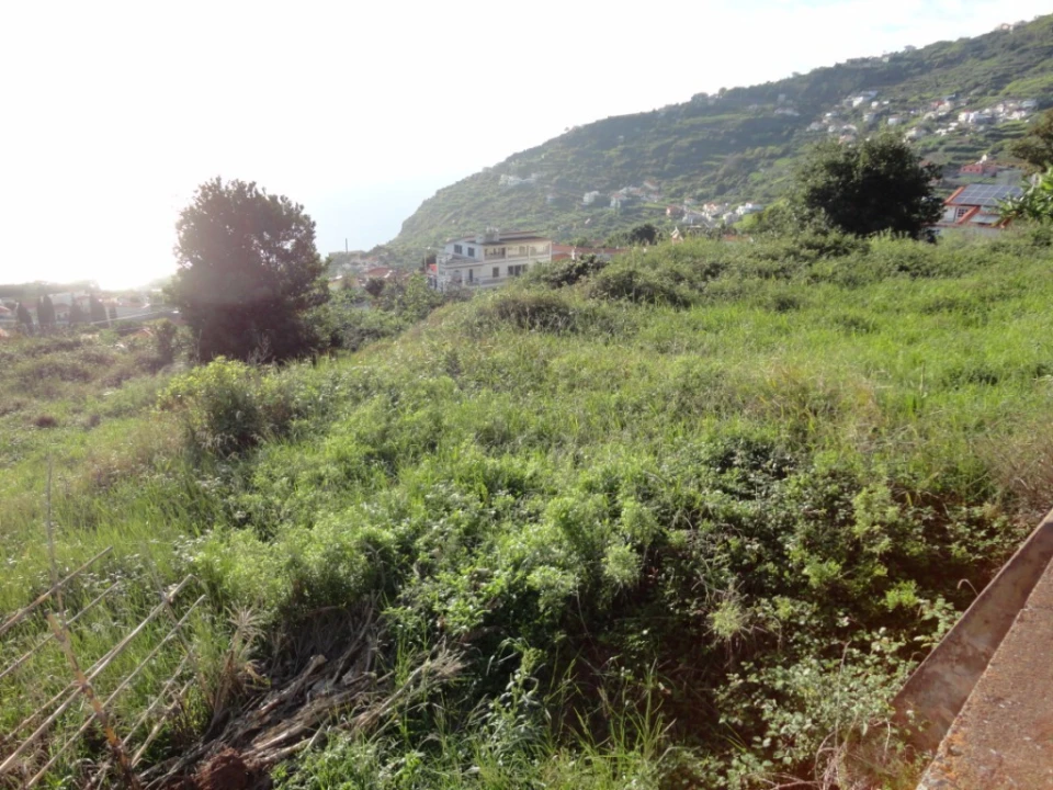 Terreno para Venda em Calheta Foto 2
