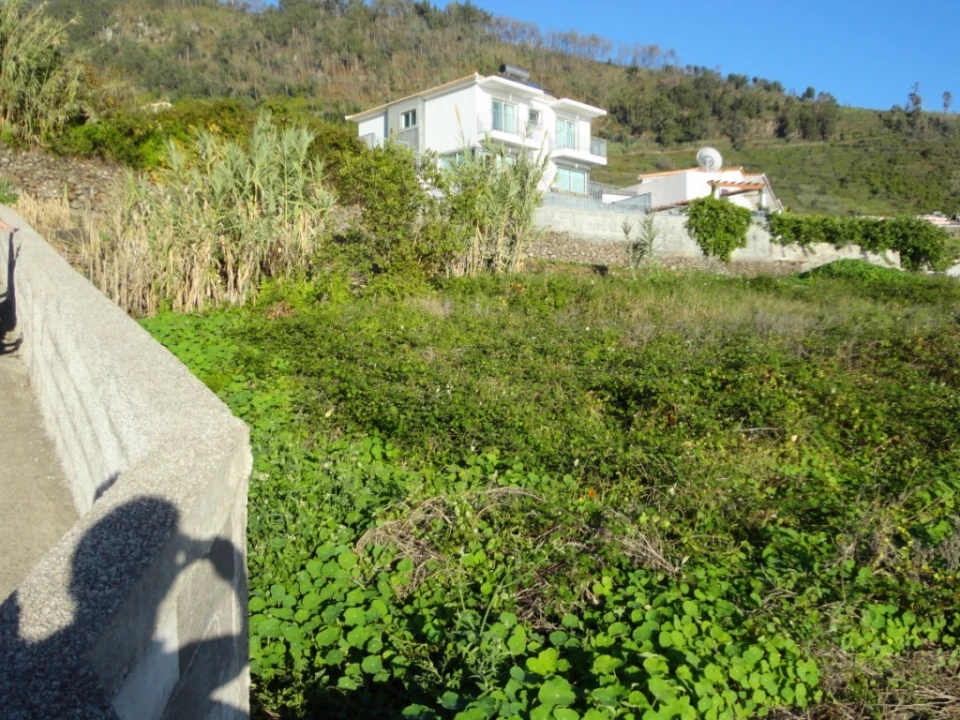 Terreno para Venda em Calheta Foto 9