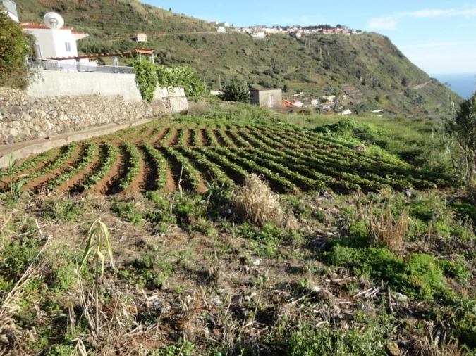 Terreno para Venda em Calheta Foto 8