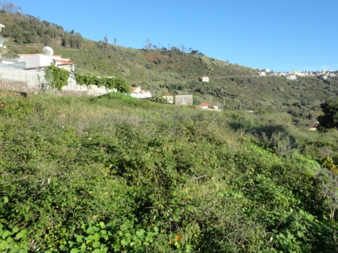 Terreno para Venda em Calheta Foto 10