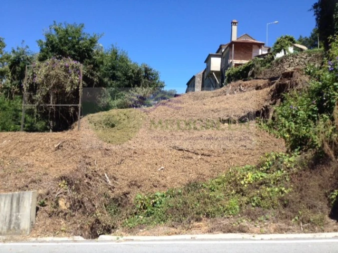 Terreno para Venda em Sever do Vouga Foto 4