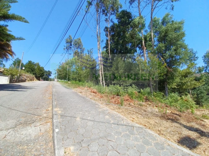 Terreno para Venda em Sever do Vouga Foto 2