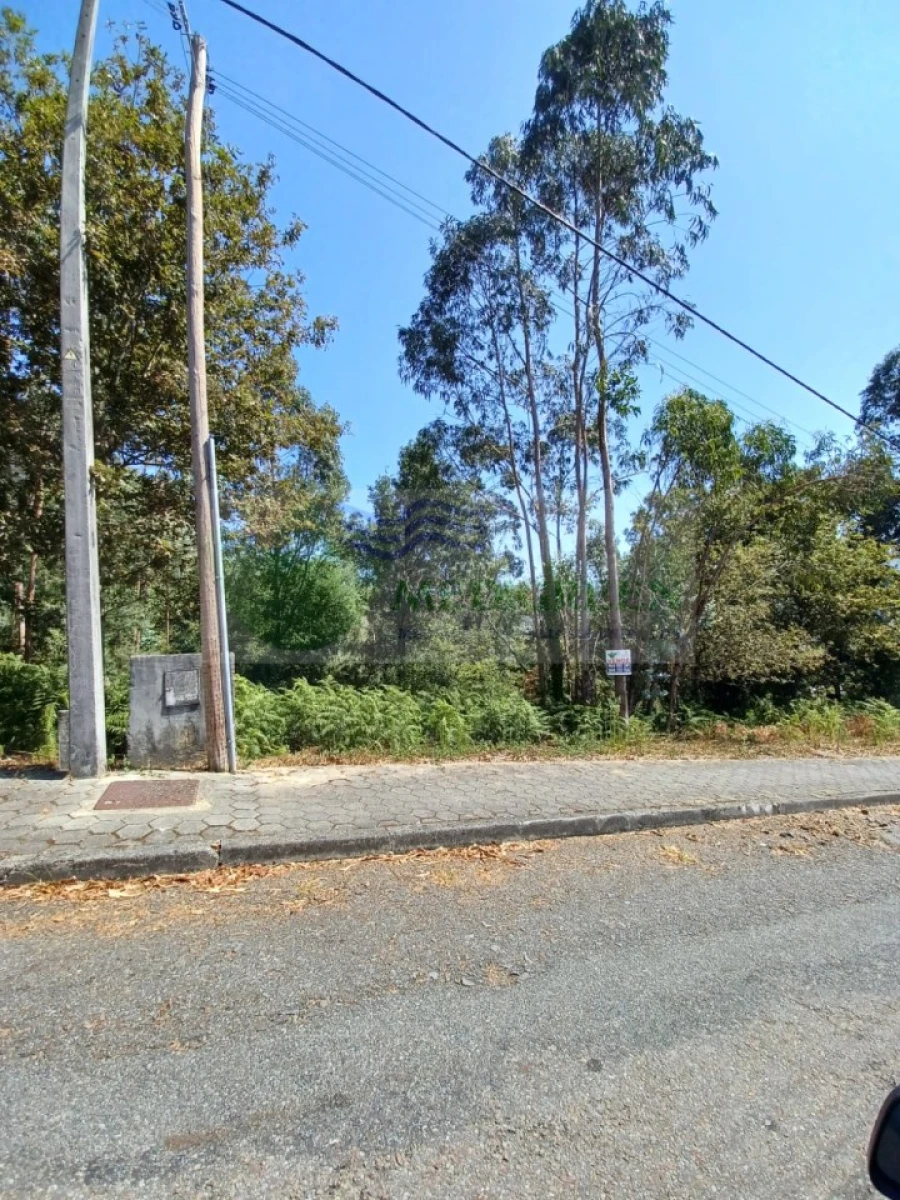 Terreno para Venda em Sever do Vouga Foto 4