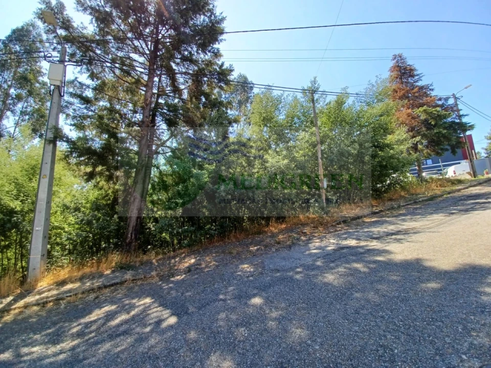 Terreno para Venda em Sever do Vouga Foto 2