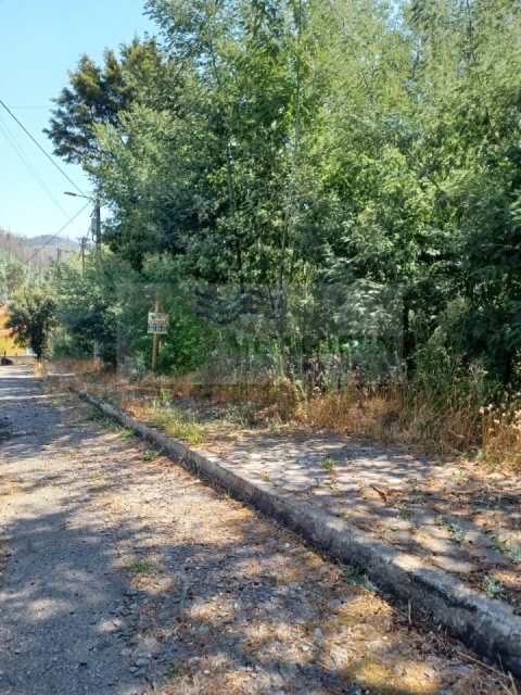 Terreno para Venda em Sever do Vouga