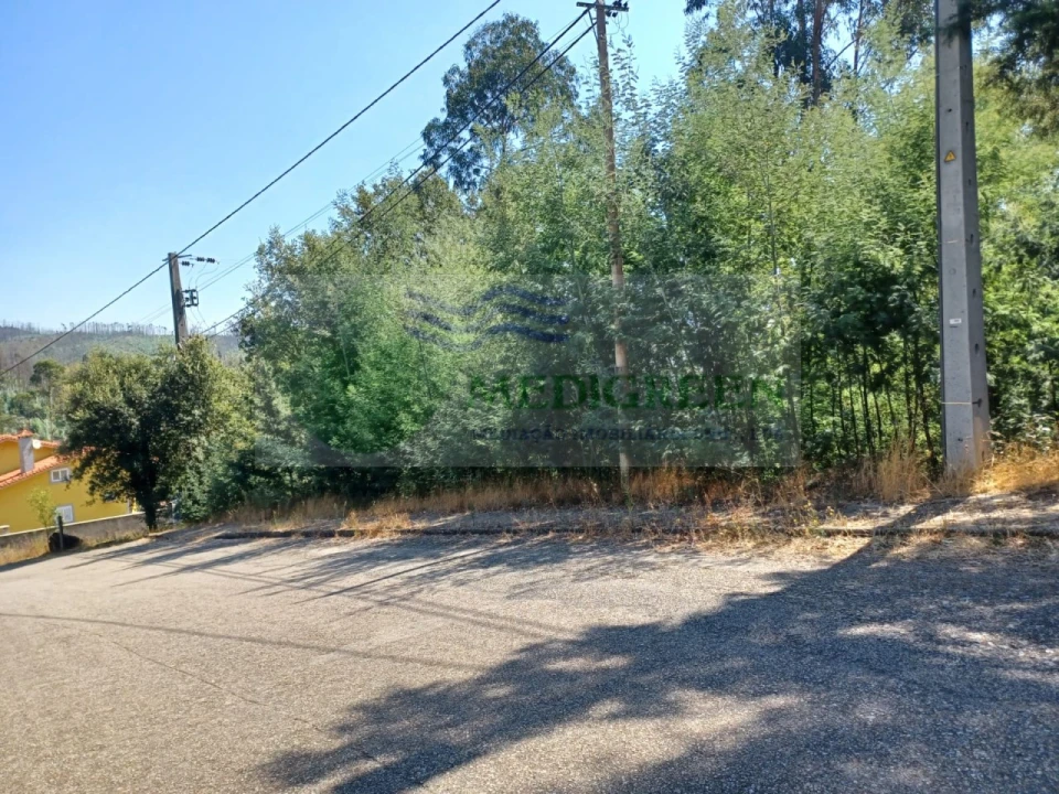 Terreno para Venda em Sever do Vouga Foto 1