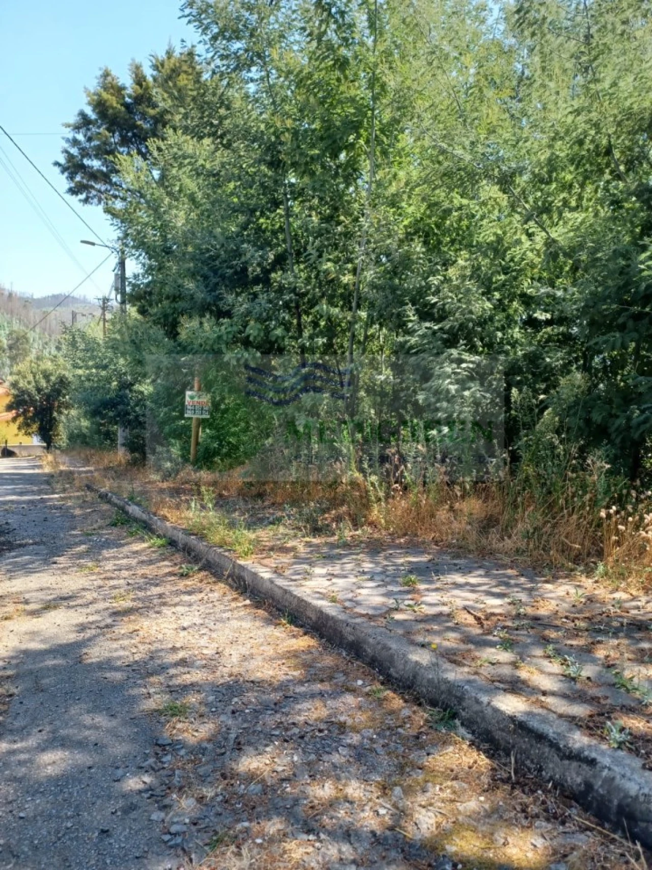 Terreno para Venda em Sever do Vouga Foto 4