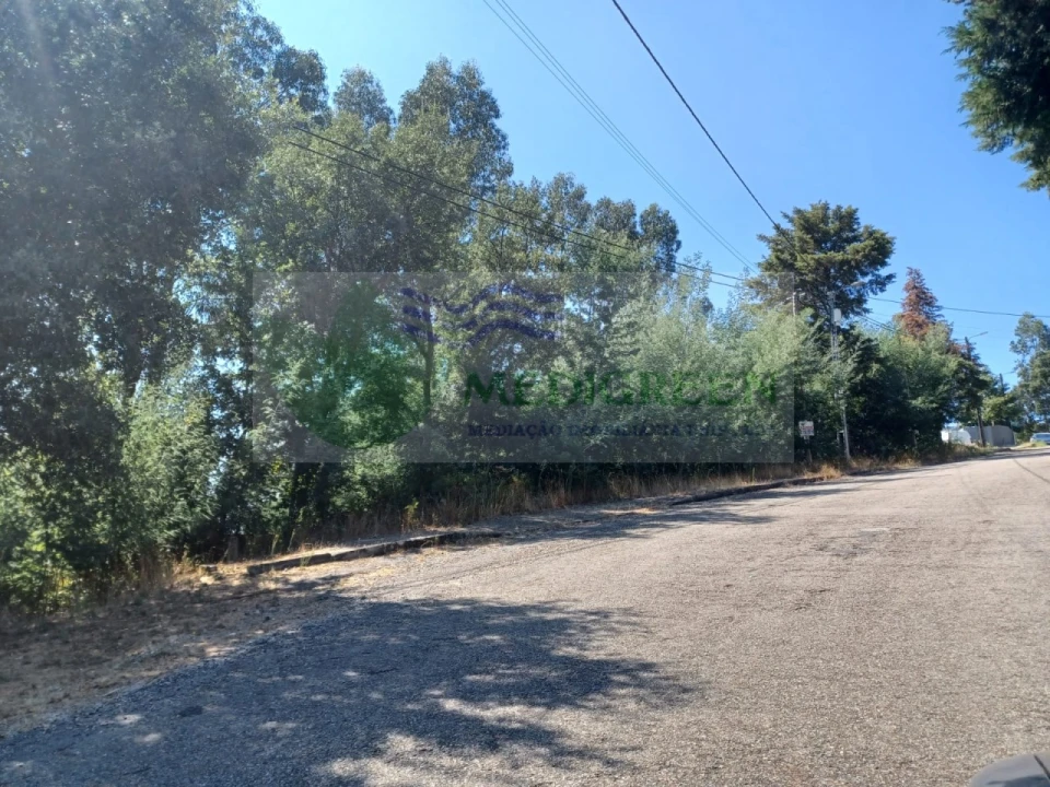 Terreno para Venda em Sever do Vouga Foto 6