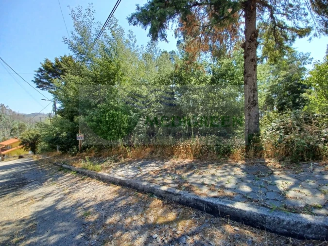 Terreno para Venda em Sever do Vouga Foto 5
