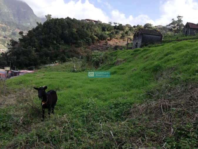 Terreno para Venda em São Vicente Foto 7