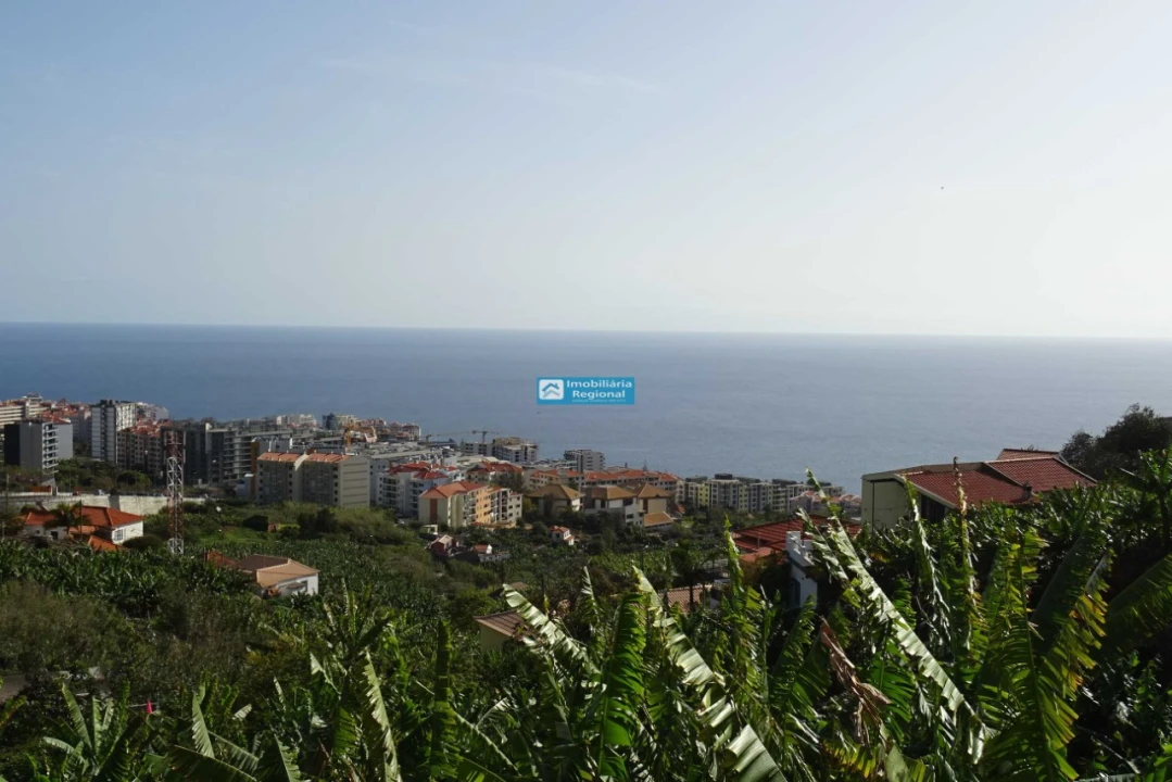 Terreno para Venda em São Martinho Foto 10