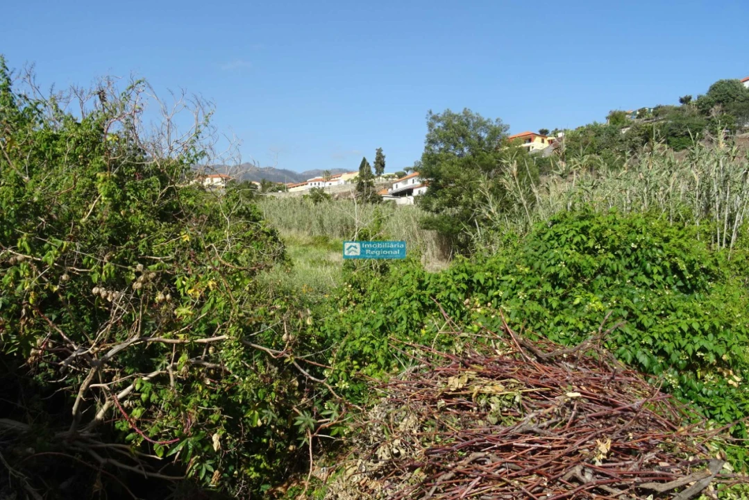 Terreno para Venda em São Martinho Foto 11