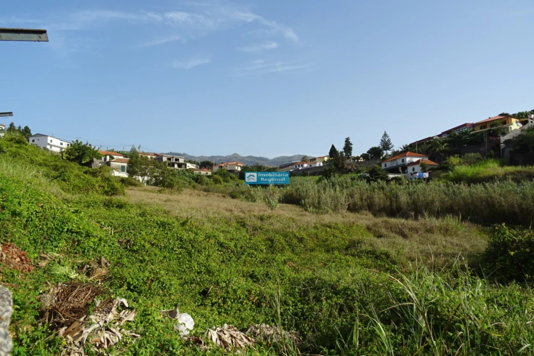 Terreno para Venda em São Martinho Foto 1