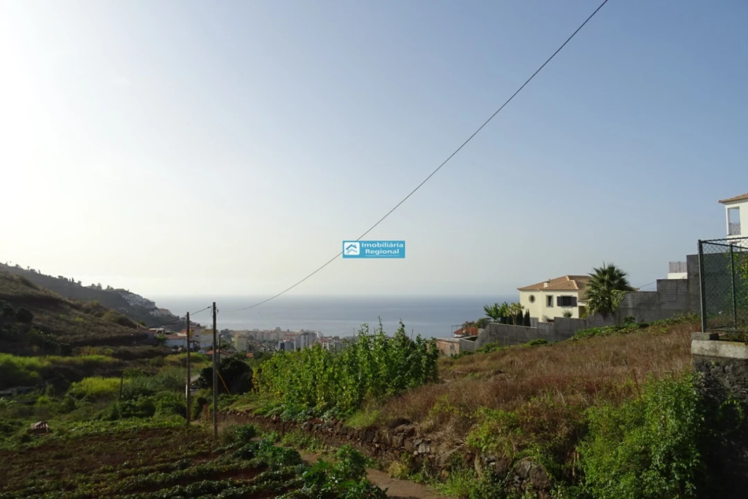Terreno para Venda em São Martinho Foto 12