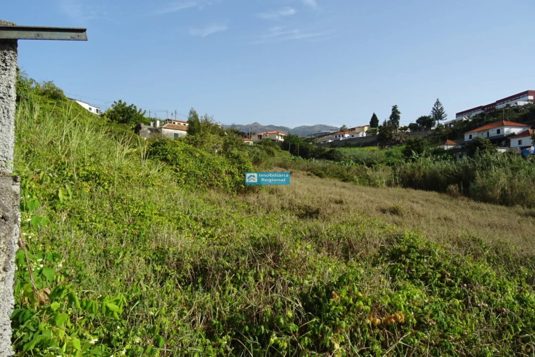 Terreno para Venda em São Martinho Foto 14