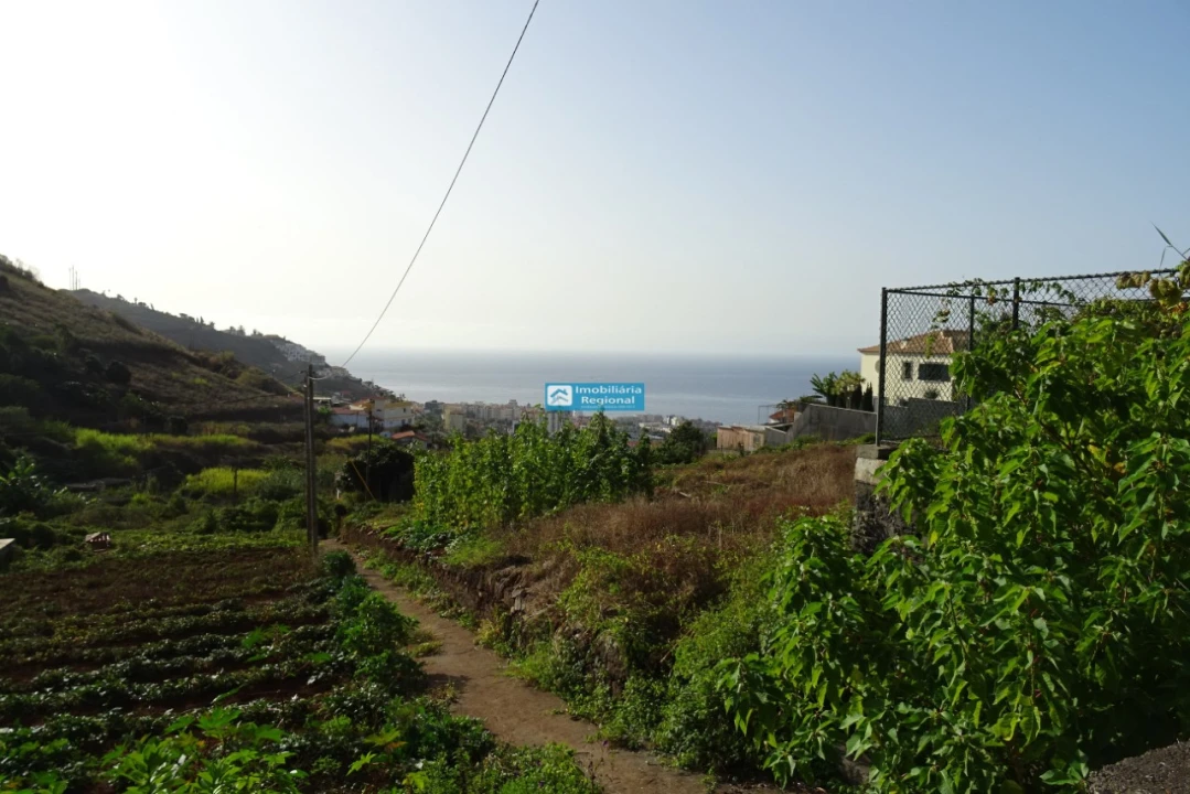 Terreno para Venda em São Martinho Foto 18