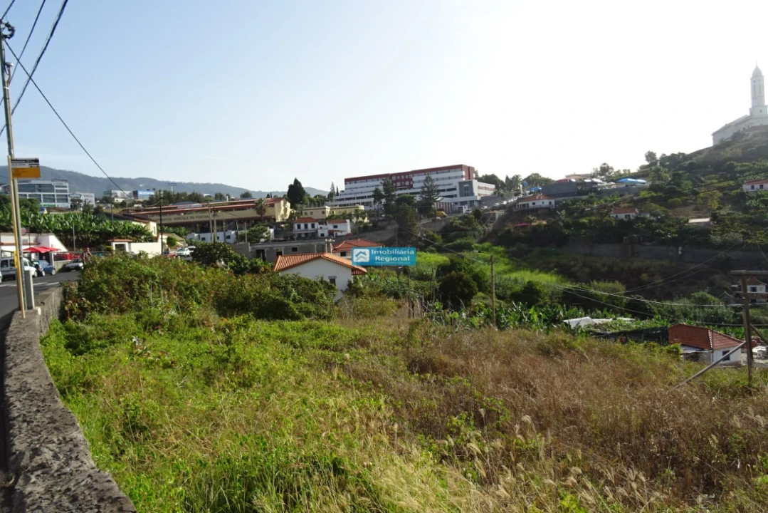 Terreno para Venda em São Martinho Foto 22