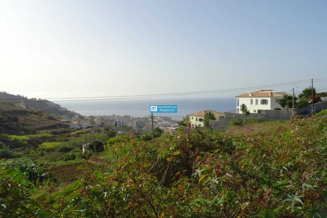 Terreno para Venda em São Martinho Foto 21