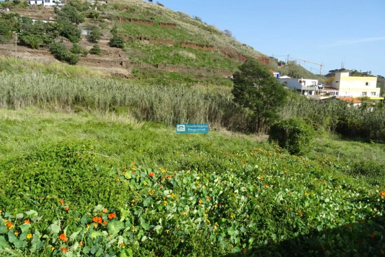 Terreno para Venda em São Martinho Foto 2