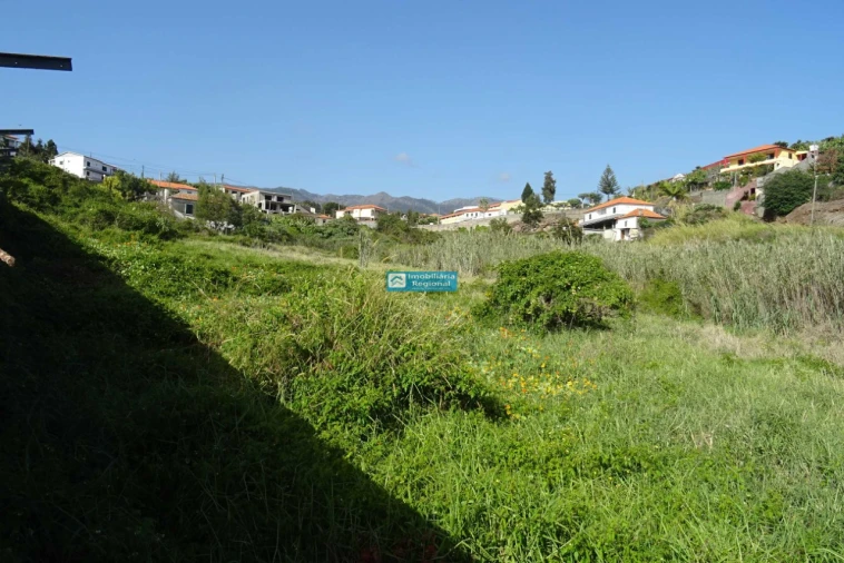 Terreno para Venda em São Martinho Foto 3