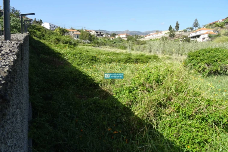 Terreno para Venda em São Martinho Foto 8