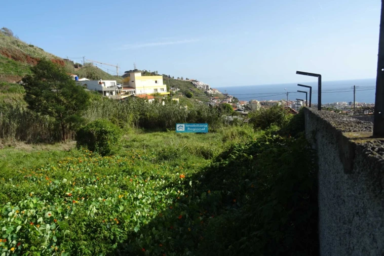 Terreno para Venda em São Martinho Foto 9