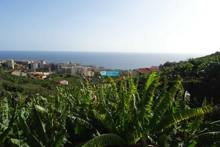 Terreno para Venda em São Martinho Foto 4