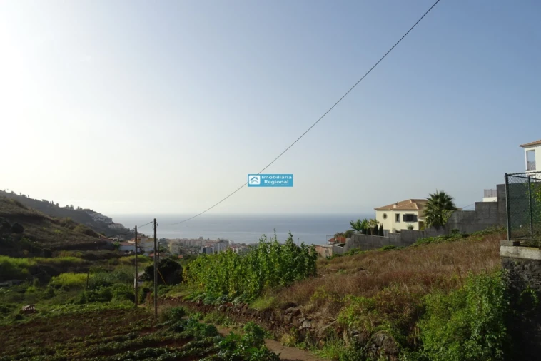 Terreno para Venda em São Martinho Foto 12