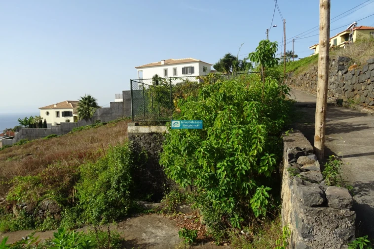Terreno para Venda em São Martinho Foto 13