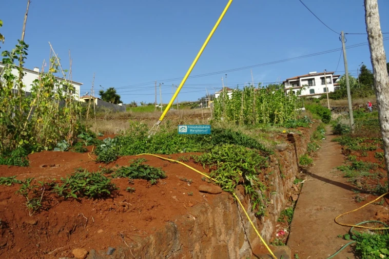 Terreno para Venda em São Martinho Foto 15